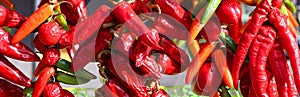 Dry peppers: Pimientos Choriceros, dry hot guindilla peppers photo