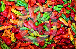 Dry peppers: Pimientos Choriceros, dry hot guindilla peppers, photo