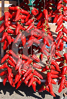 Dry peppers: Pimientos Choriceros, photo