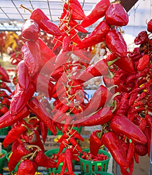 Dry peppers: Pimientos Choriceros, photo