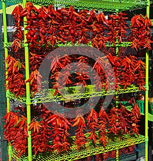 Dry peppers: Pimientos Choriceros photo