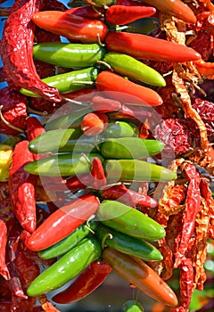 Dry peppers: Pimientos Choriceros,