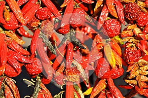 Dry peppers: Pimientos Choriceros photo