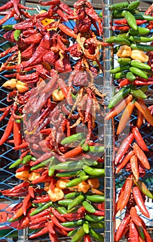 Dry peppers: photo