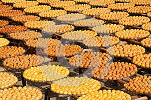 Dry persimmons under the sun