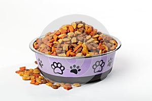 Dry pet cat dog food in granules in cute bowl