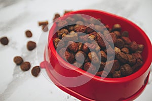 Dry pet food in bowl
