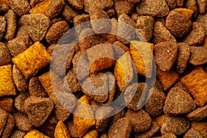 Dry pet food close up for background
