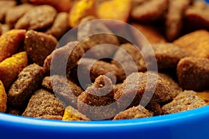 Dry pet food close up for background