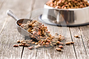 Dry pet food. Dry kibble food in scoop