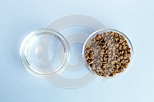 Dry pet food in a glass jar and bowl close-up on a blue background. View from above