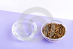 Dry pet food in a glass jar and bowl close-up on a lilac background. View from above