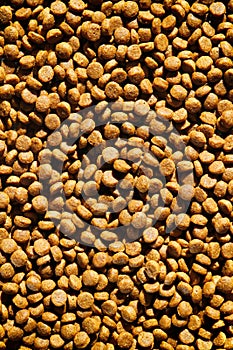 Dry pet food texture background. Food pattern. Chewing treats for pets. Isolation. Your text space.	Small brown round pieces.