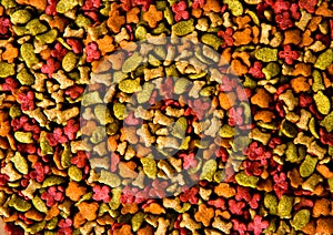 Dry pets food background