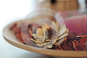 Dry pine flower decorate on desk as background