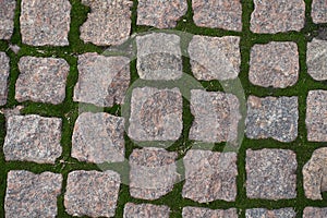 Dry pink granite pavement with green moss in joints