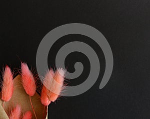 Dry pink lagurus ovatus bouquet on black background. Top view, flat lay