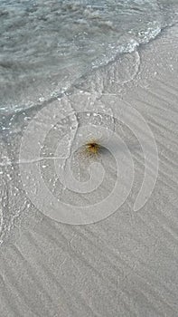 clear waves on the beach