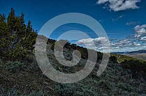 Dry plants and trees on the mountains against a cloudy sky