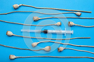 Dry poppy heads and injection syringe with heroin on a blue background