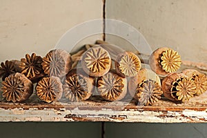 DRY POPPY SEED PODS ARRANGED ON AN OLD FLAKING SHELF