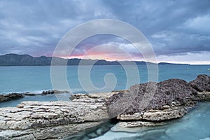 Dry Posidonia on rocks by the sea