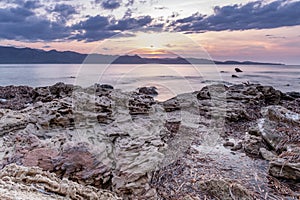 Dry Posidonia on rocks by the sea