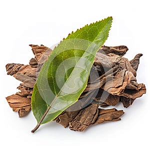 Dry Puerh tea with fresh tea leaf isolated on white background