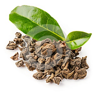 Dry Puerh tea with fresh tea tree leaf on white background