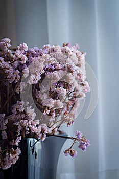 Dry purple flowers