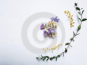 Dry purple, white and yellow flowers with dry eucalyptus leaves for floristics.