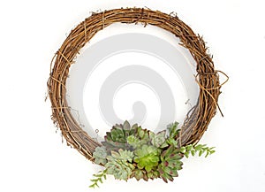 Dry rattan wreath garland with green and red succulent arrangement white background