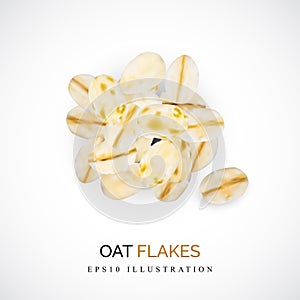 Dry Raw Oat Flakes or Oatmeal Vector Illustration