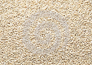 Dry raw organic healthy oat grain seeds textured background.Macro