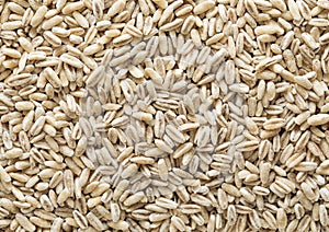 Dry raw organic healthy oat grain seeds textured background.Macro