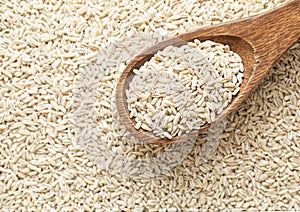 Dry raw organic healthy oat grain seeds on wooden spoon.Macro