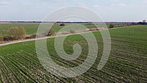 Dry reclamation canal in the field, aerial view. Agricultural landscape.