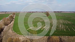Dry reclamation canal in the field, aerial view. Agricultural landscape.