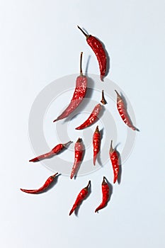 Dry red chili pepper on a white background, top view