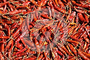 Dry Red Chilies