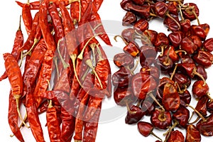 Dry red chilies photo