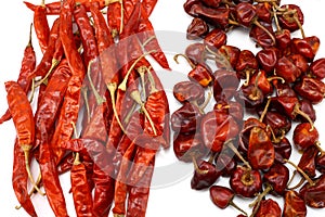 Dry red chilies