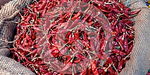 Dry red chillies  on sack