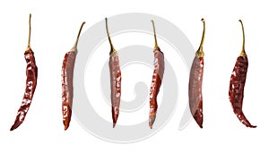 Dry red chillis isolated on white background, red chilli spice, indian spice photo