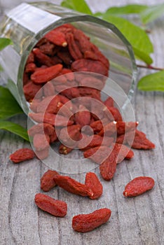 Dry red goji berries (Lycium barbarum)