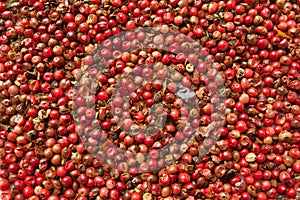 Dry red pepper berries as texture