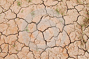 Dry red soil