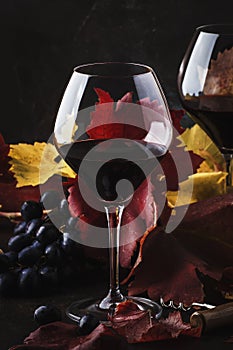 Dry Red Wine in big wine glass, autumn still life with leaves, wine tasting concept, rustic style, selective focus