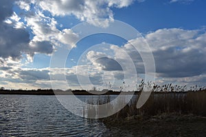 Dry reeds grass in sunset rays cloudy sky