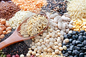 Dry rice seeds in wooden spoon on variety kinds of natural cereal and grain seed background